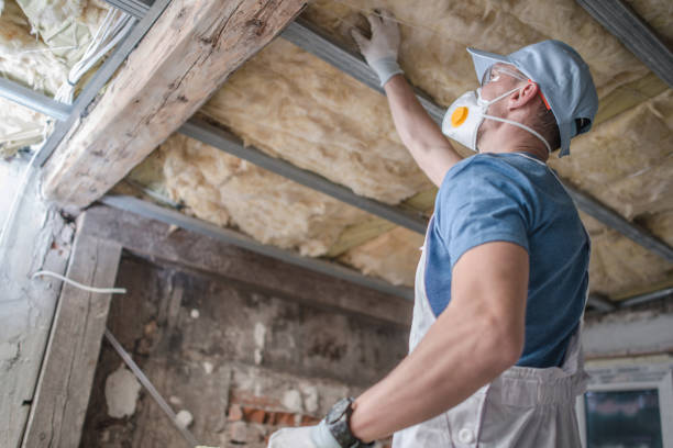Best Crawl Space Insulation  in Smithville, MO