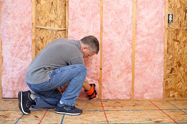 Best Attic Insulation Installation  in Smithville, MO